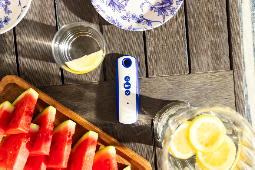 Motorized shade remote in middle of watermelon and lemons