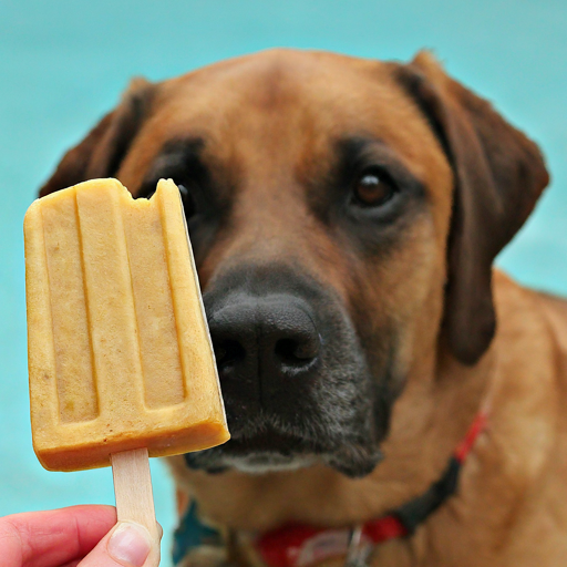 refreshing wholesome dog treats