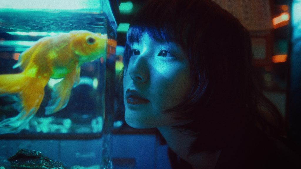 Woman looking into fishtank