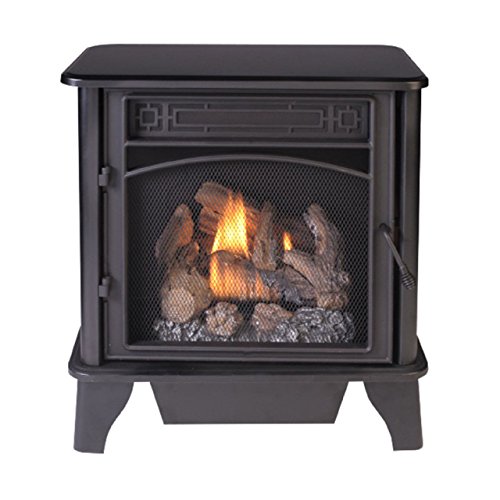 ProCom PCNSD25TA Three-Sided Vent Free Dual Fuel Stove, Freestanding Fireplace ...