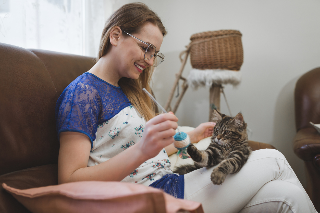 Cat Enrichment Activities