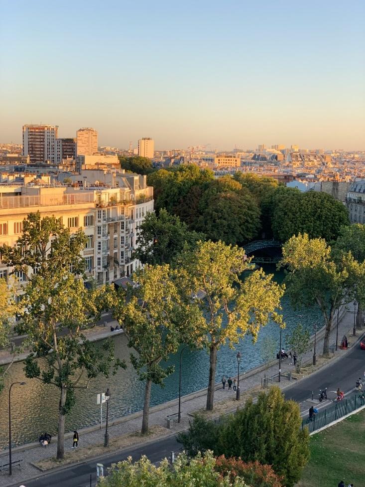 A river with trees and buildings in the background

Description automatically generated