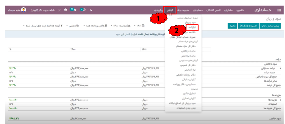 فراهم آوردن تصویر دقیق و شفاف از وضعیت مالی سازمان به مدیران و سهامداران.