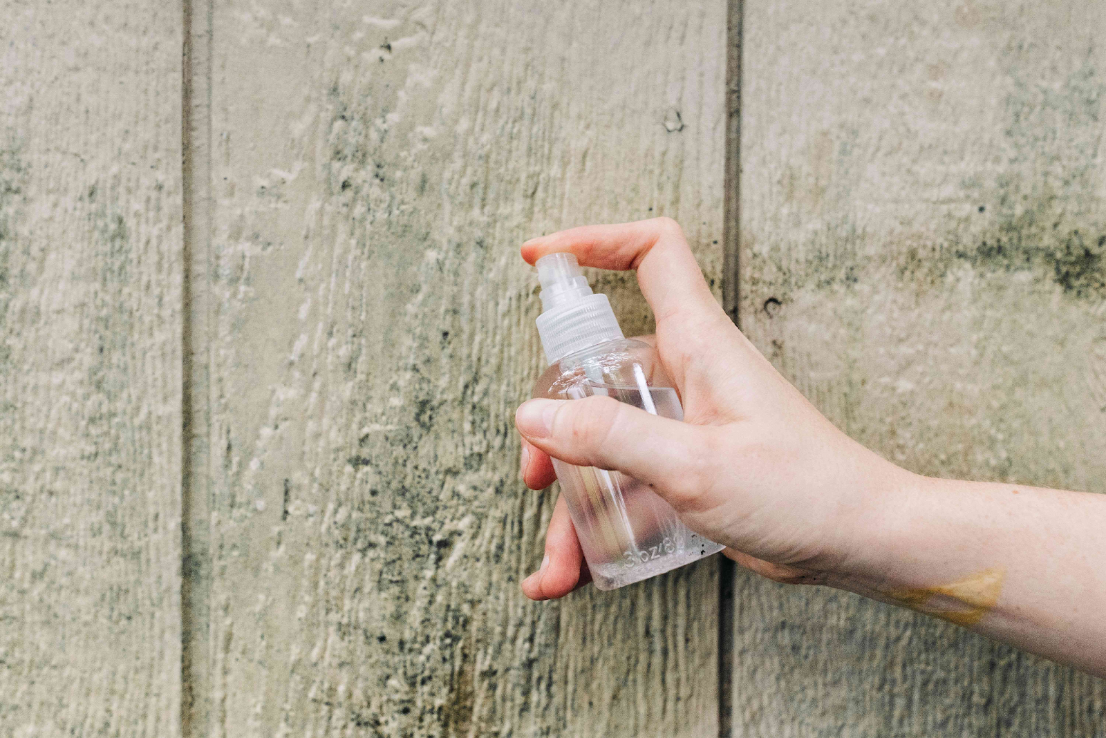 how to get rid of mold in basement