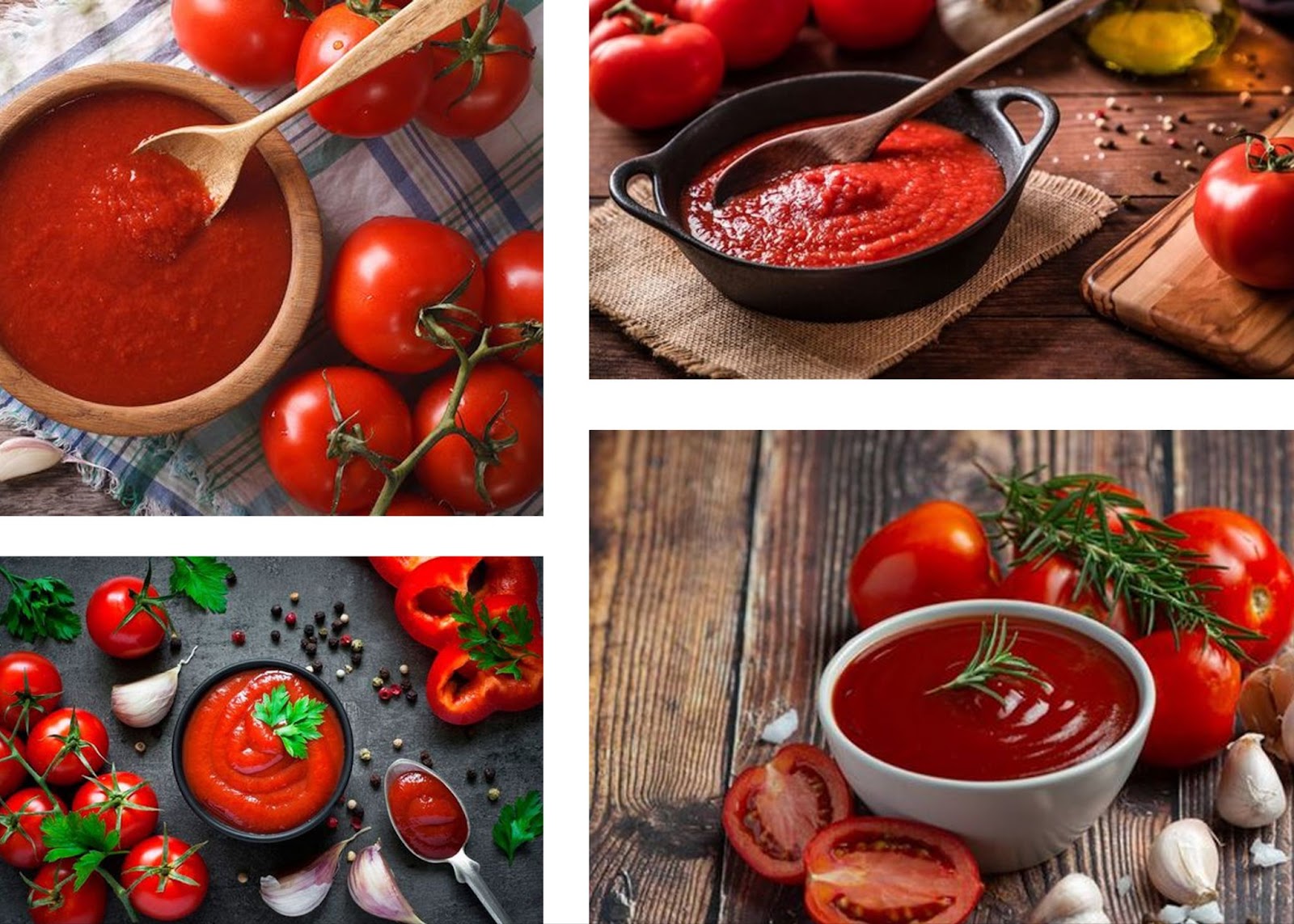 Tomato Sauce and Tomato Paste