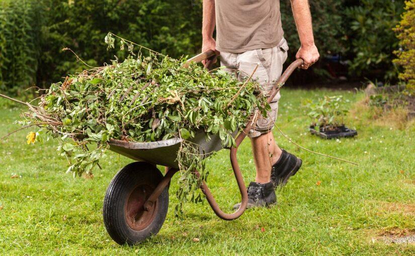 Got yard waste? Keep it away from your local green space!