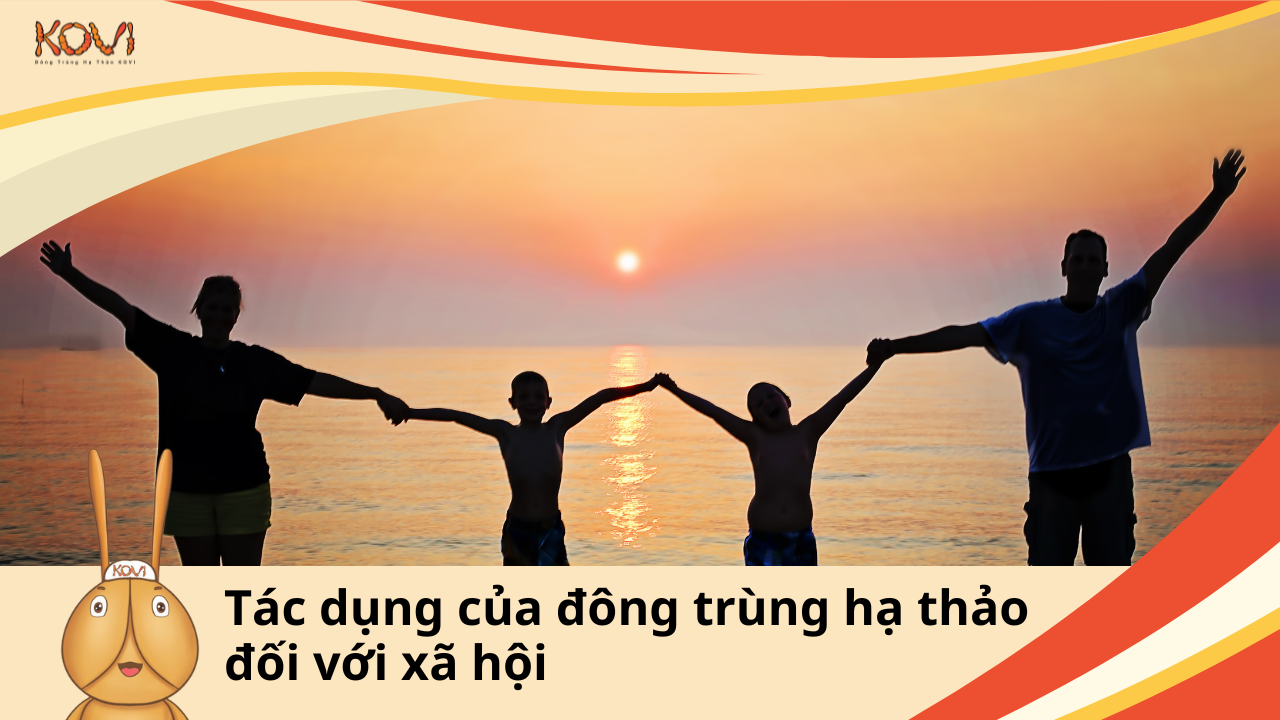 Công dụng của đông trùng hạ thảo đối với xã hội nói chung: