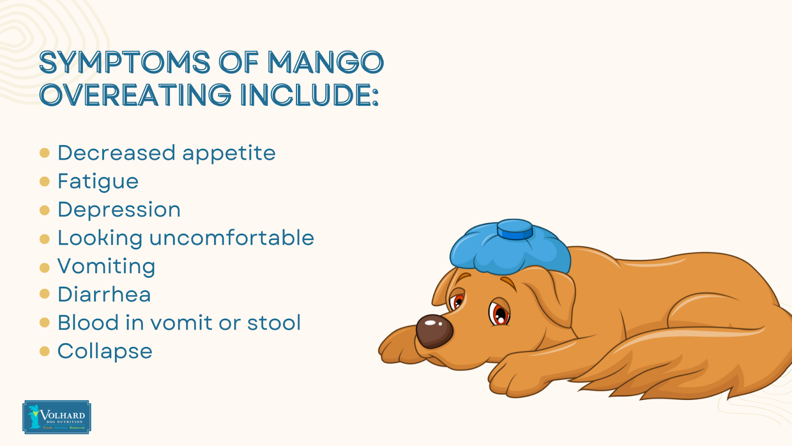 Symptoms mango overeating