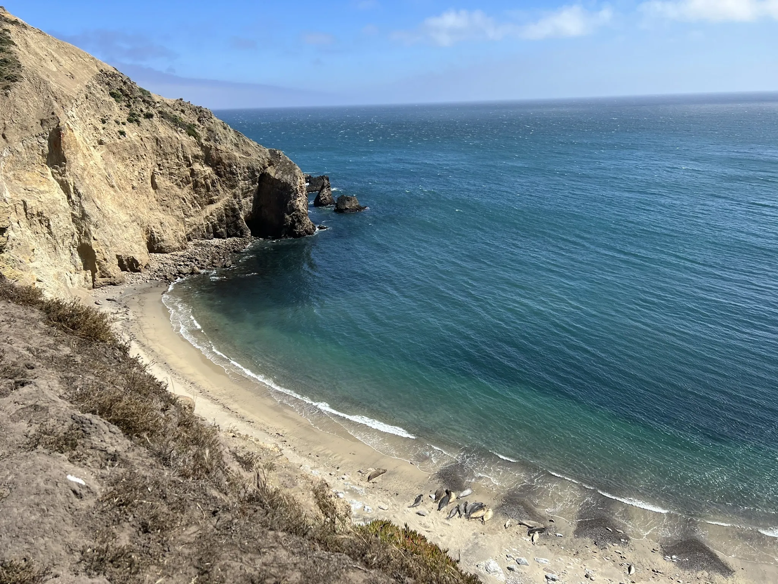 best things to do in Point Reyes