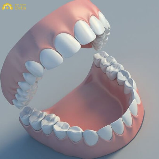 Quá trình thay răng sữa bao gồm cả thay thế các răng hàm sữa