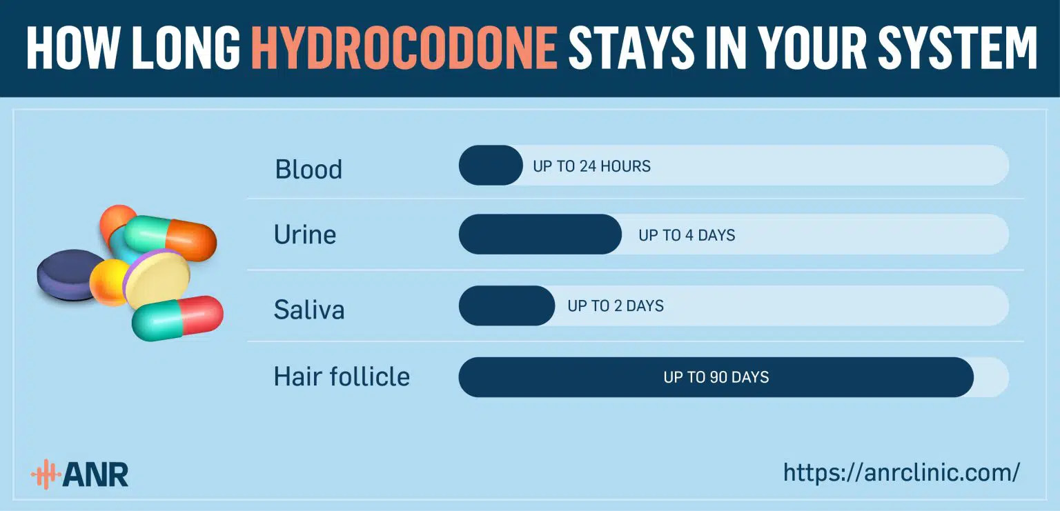 How Long Does Hydrocodone Stay in Your System?