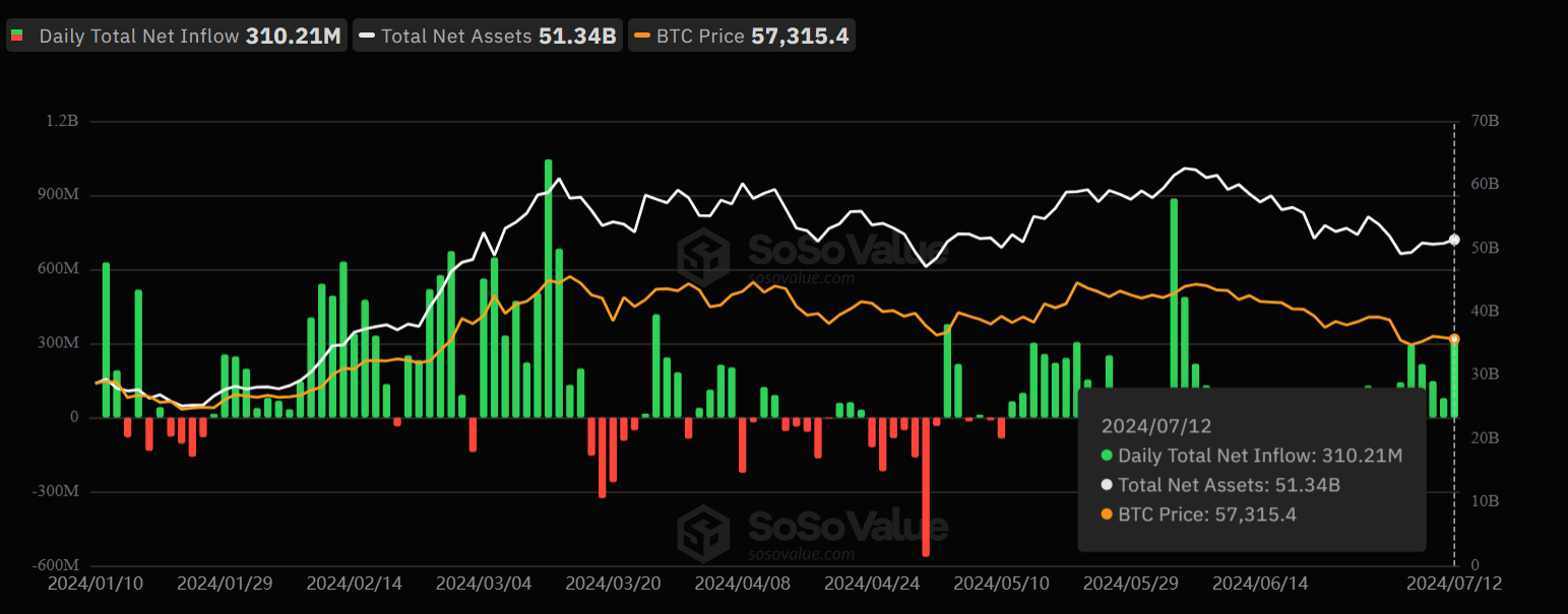 US Bitcoin Spot ETF NetFlow Chart