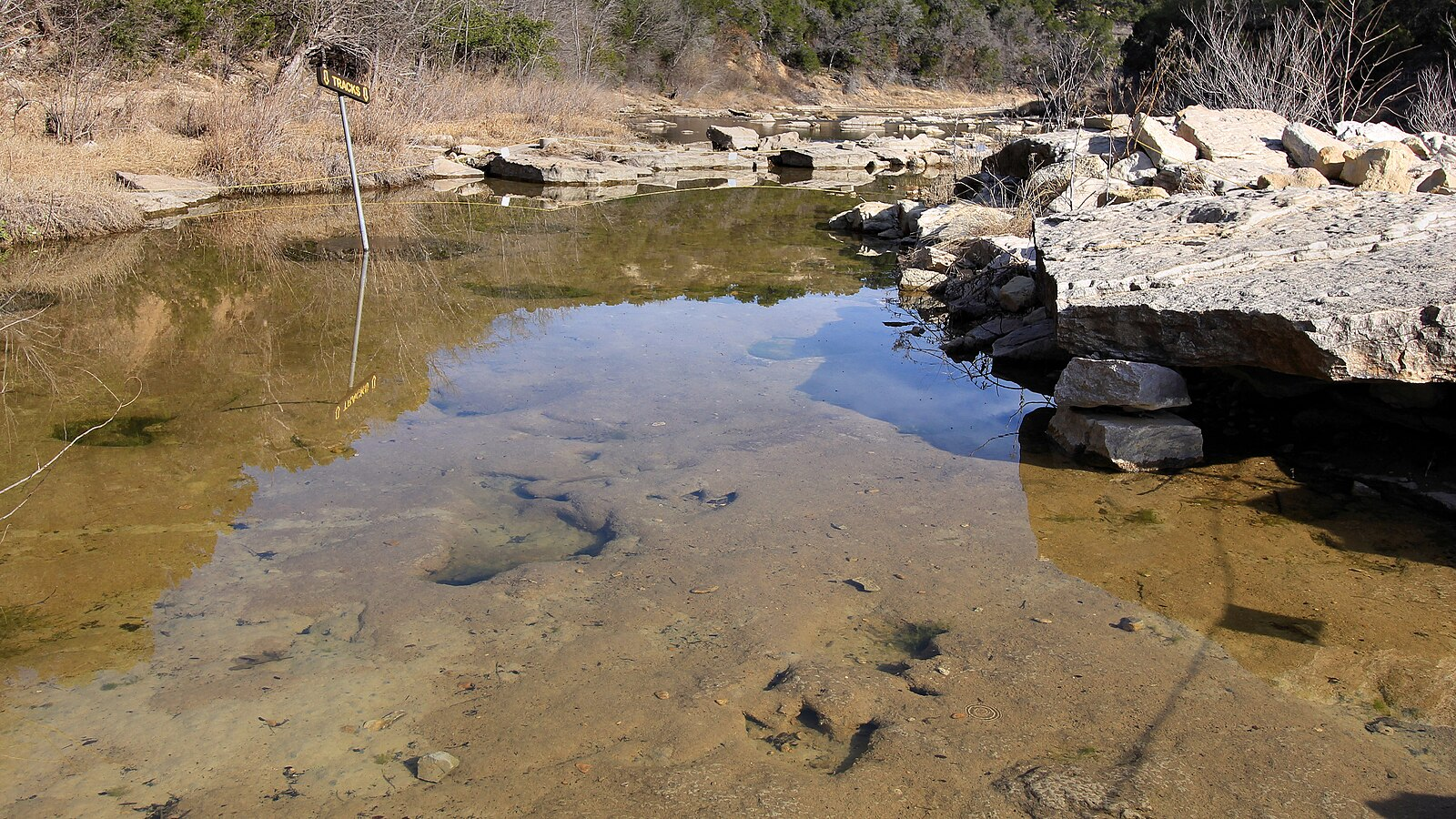 Photograph of dinosaur tracks at Dinosaur Valley State Park in Texas