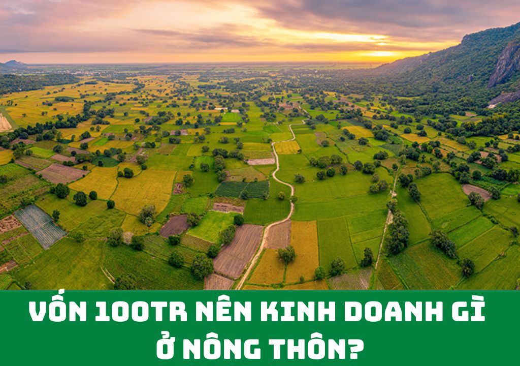 Vốn 100tr Nên Kinh Doanh Gì Ở Nông Thôn?