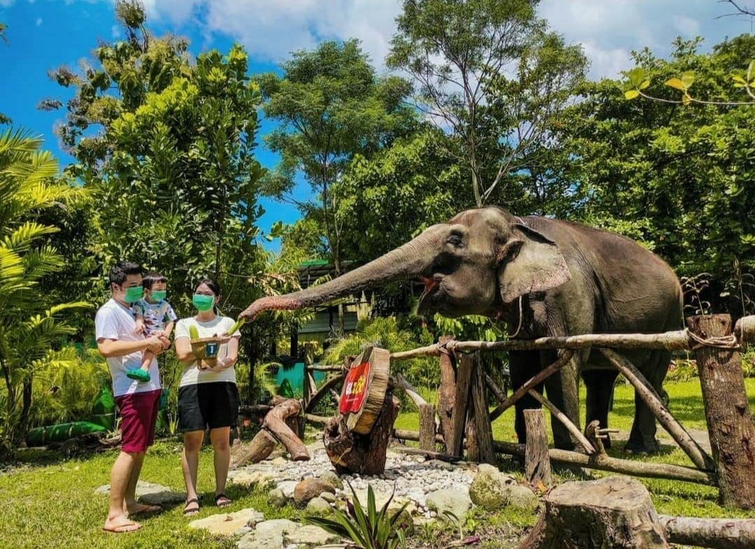 Rekomendasi Tempat Wisata di Jogja Cocok Untuk Anak-Anak