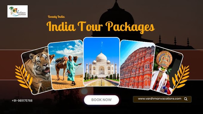 Explore the Vibrant Diversity of India with Exciting Tour Packages