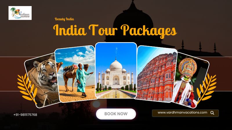 India Tour Packages 