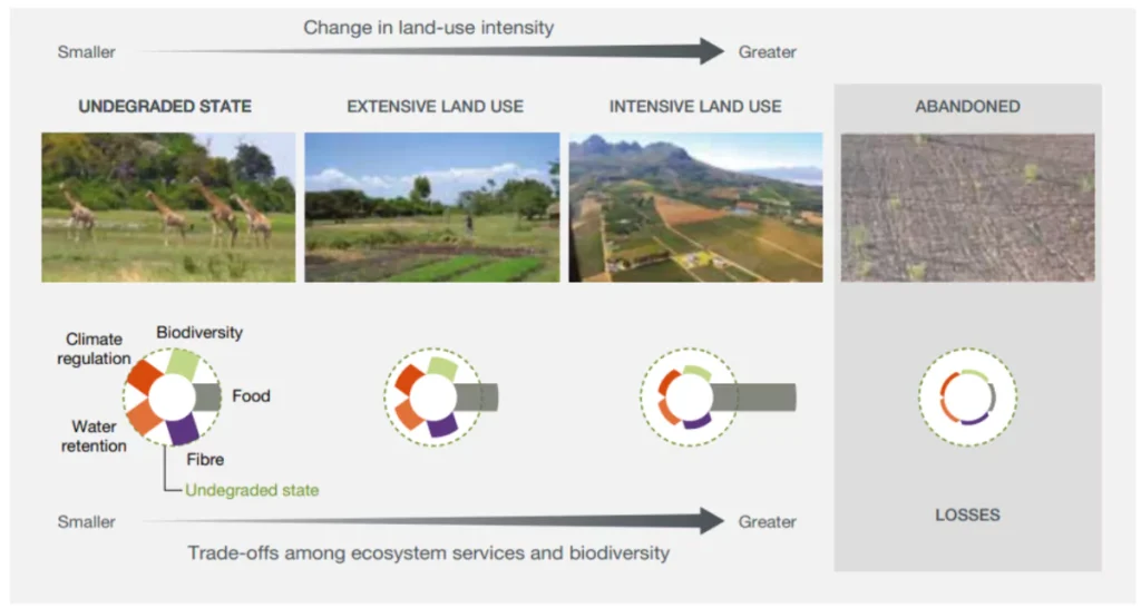 land degradation