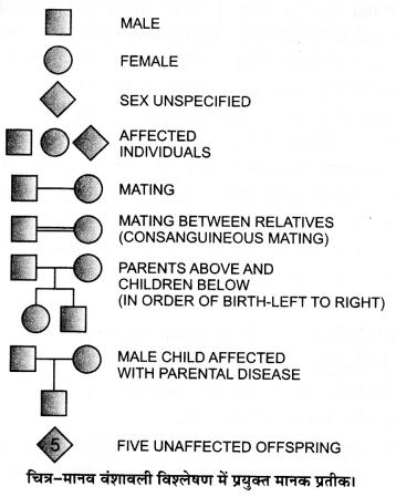 UP Board Solutions for Class 12 Biology Chapter 5 Principles of Inheritance and Variation Q.10