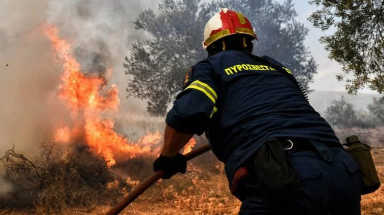 Υπό έλεγχο τέθηκε η δασική πυρκαγιά στον Κάλαμο Ωρωπού - CNN.gr