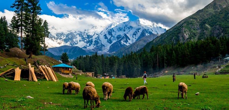 Fairy Meadows, Skardu Valley & Hunza Valley 12 Days 11 Nights Tour