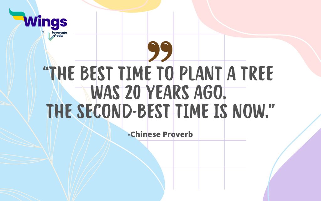 The Best Time to Plant a Tree was 20 Years Ago. The Second-best Time is Now.
