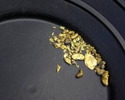 Image of Placer Gold