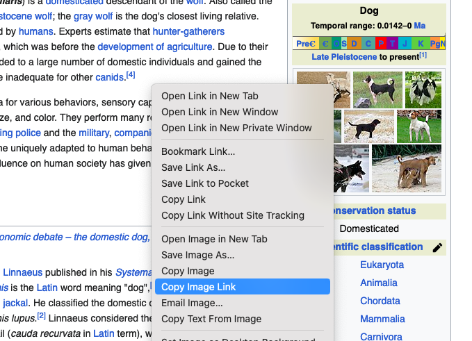 How To Copy Image Address On Mac 7
