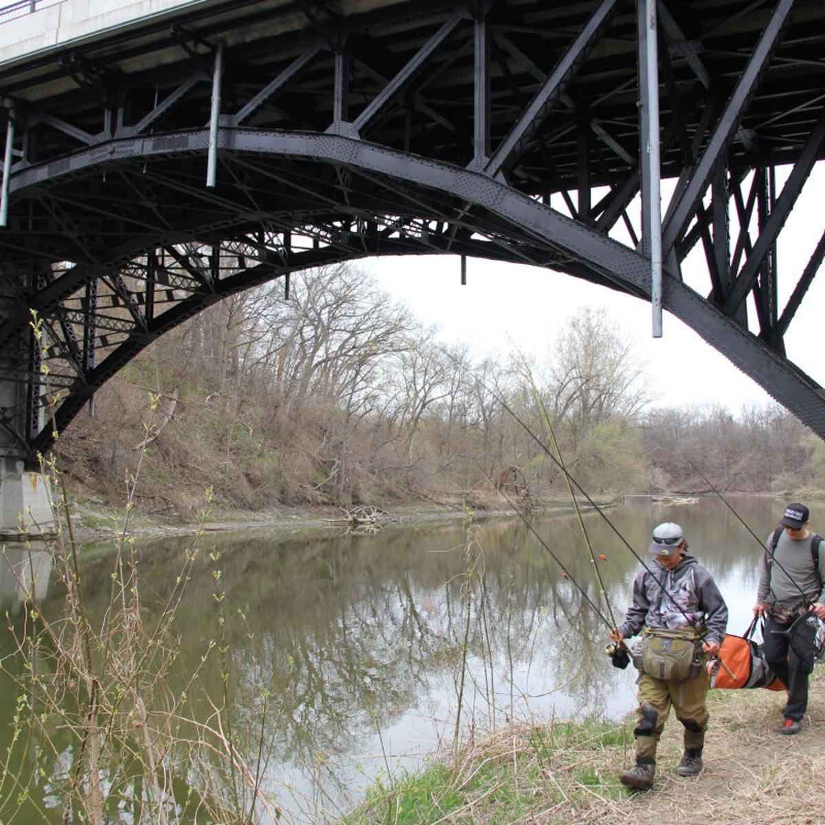 Humber River Fishing Secrets: Angler's Paradise Unveiled