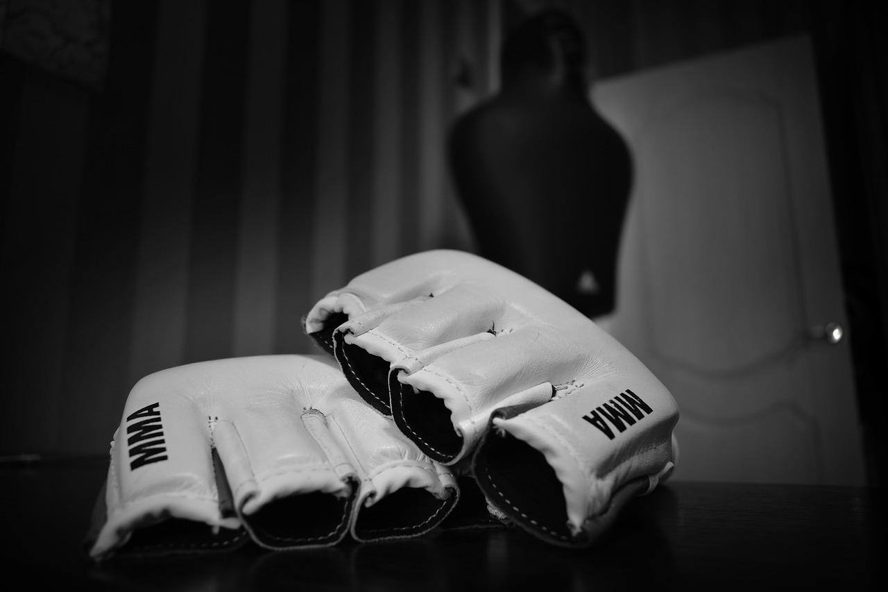 Free Gloves Fighter photo and picture