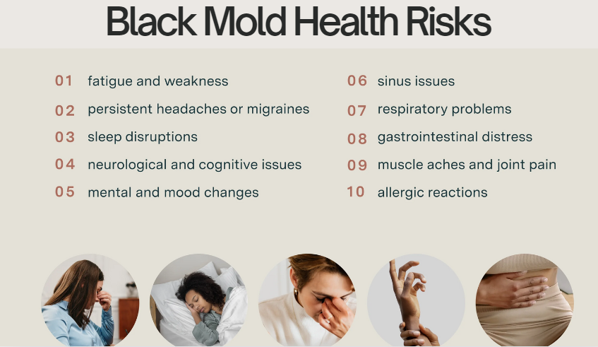 what kills black mold instantly