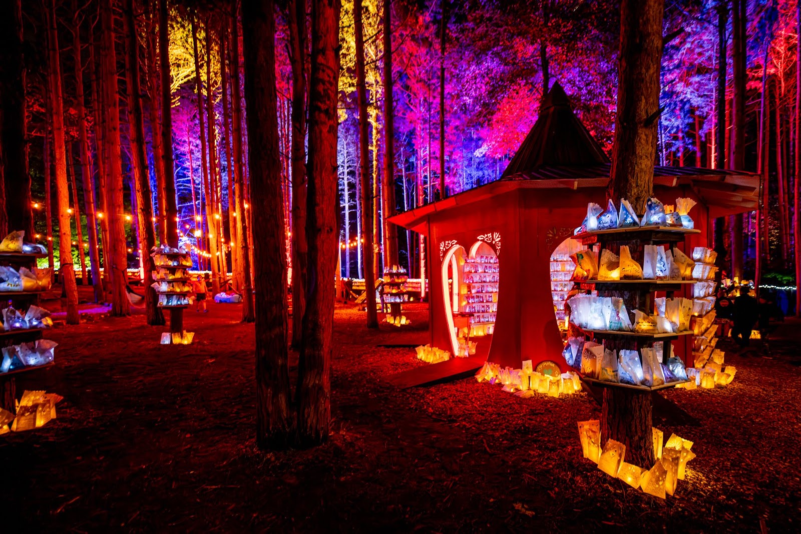 Choose Your Side Quest Electric Forest 2024 Electric Feels