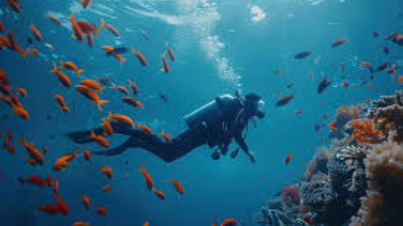 Scuba Diving In Andaman