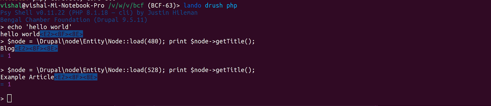 drush php