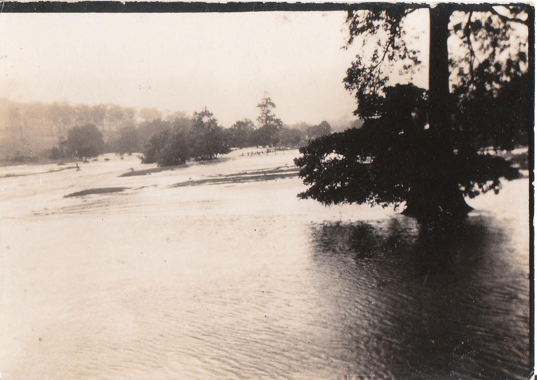 A river with trees in it

Description automatically generated