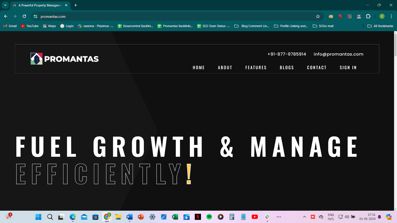 Screenshot of the Promantas Website 