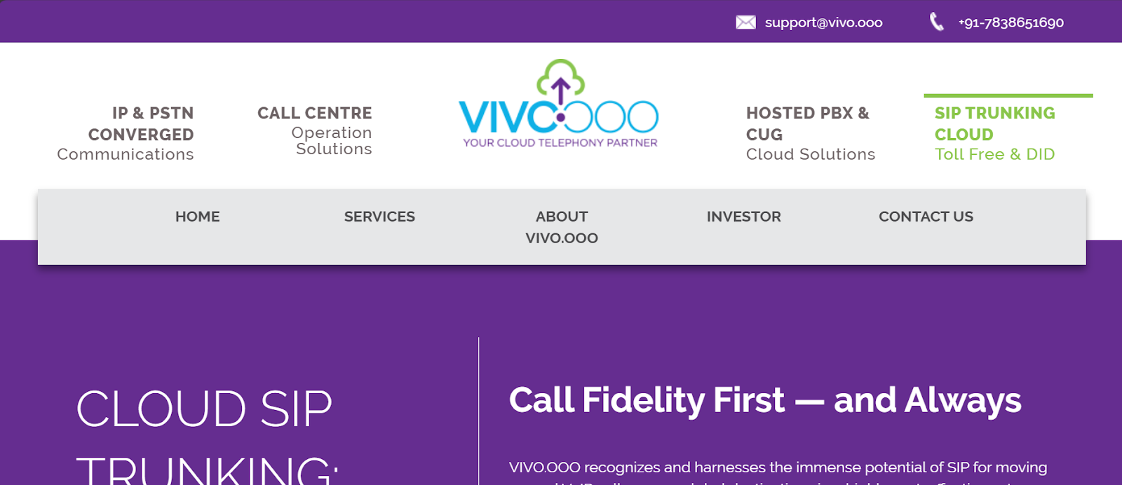 Vivo website snapshot highlighting the services it offers.