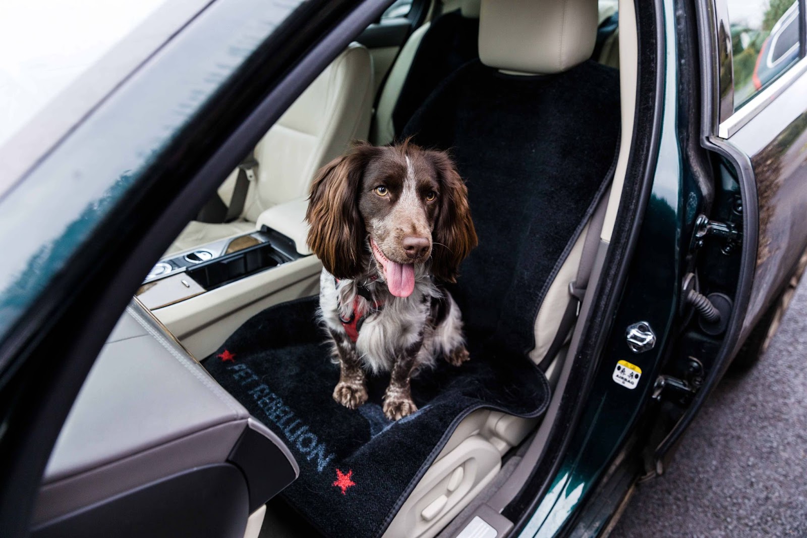 Pet rebellion Car seat cover