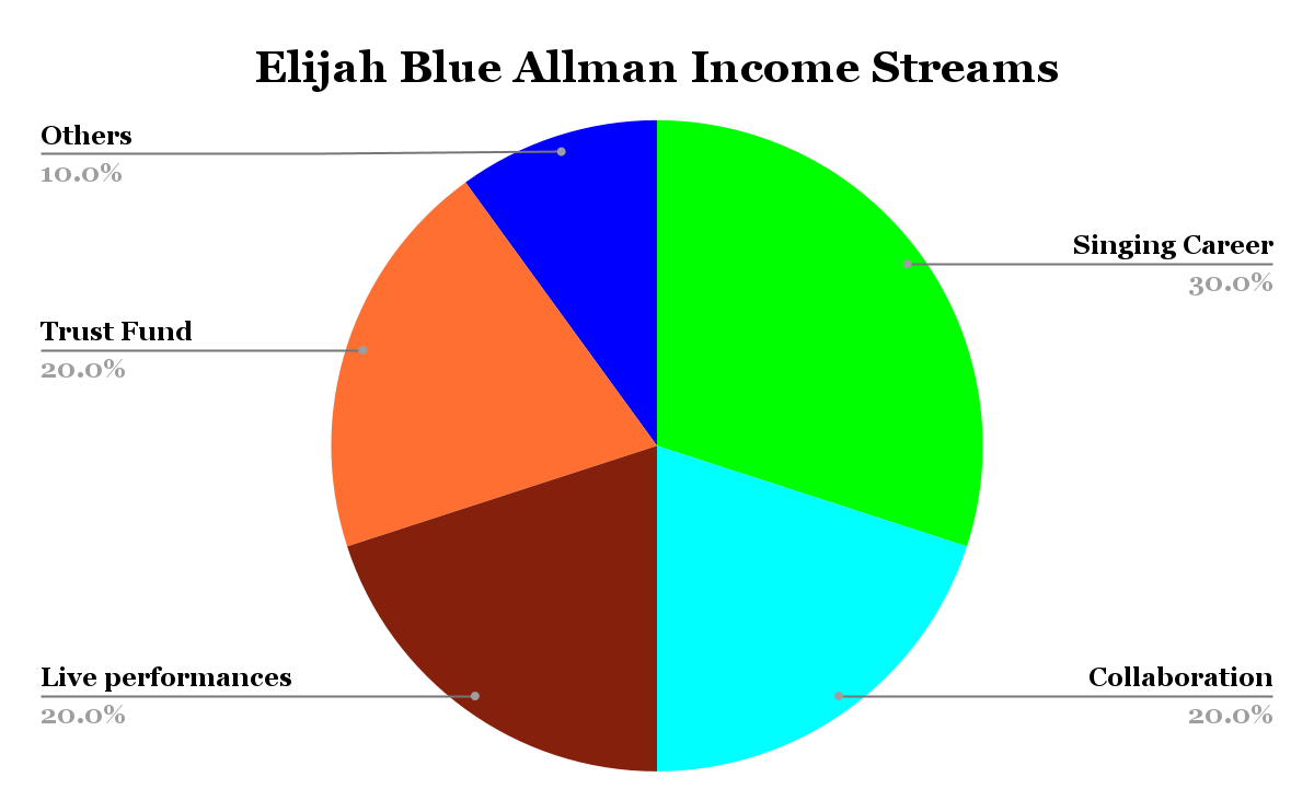 Elijah Blue Allman Income Streams