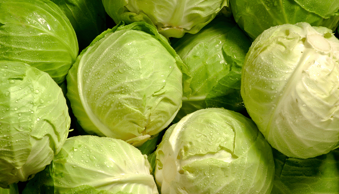 cabbage