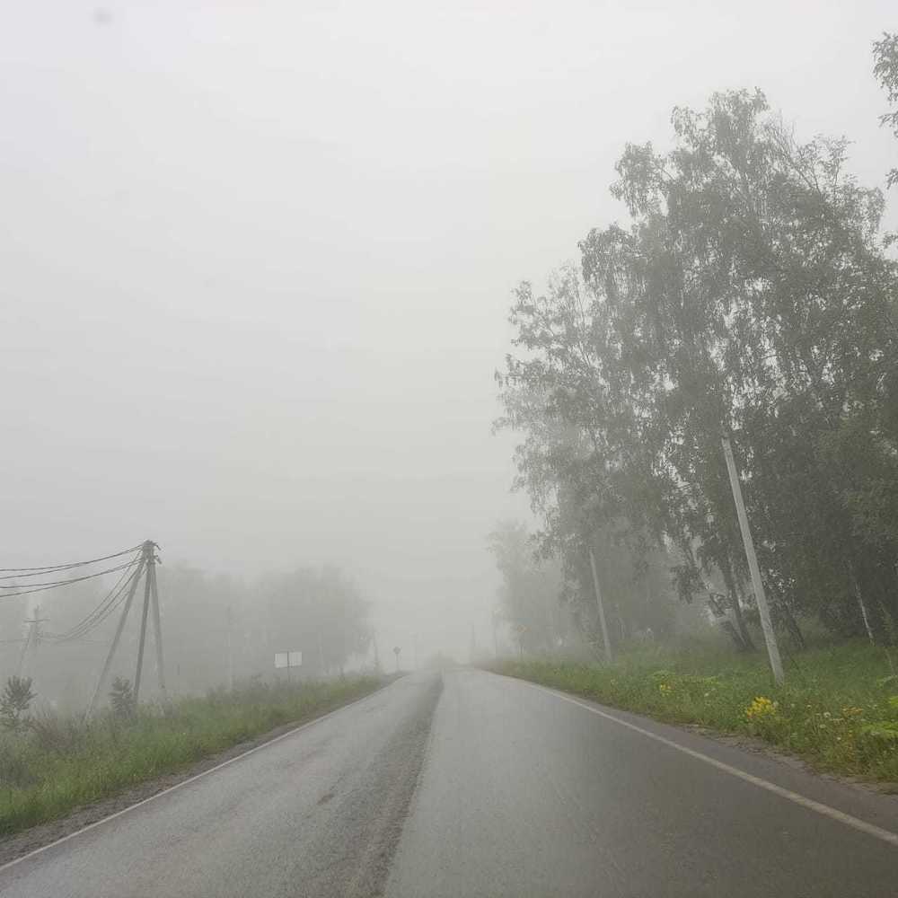 Фото 7 июня Новосибирск окутало густым туманом. 13 фото природного явления с улиц города 9