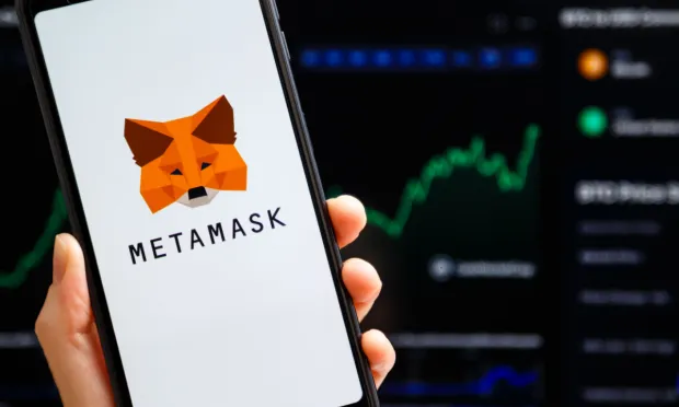 Metamask - soft wallet