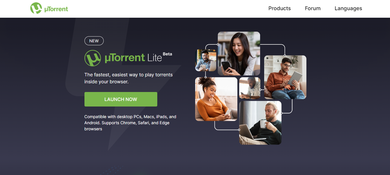 How To Use Torrent In Computer