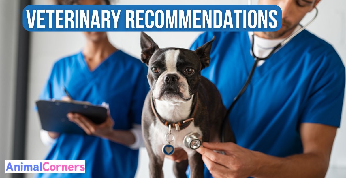 Veterinary Recommendations