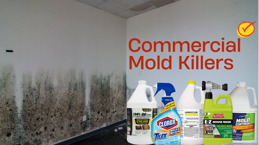 what kills black mold instantly