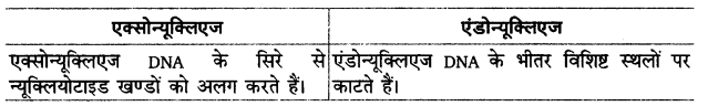 UP Board Solutions for Class 12 Biology Chapter 11 Biotechnology Principles and Processes Q.12.4