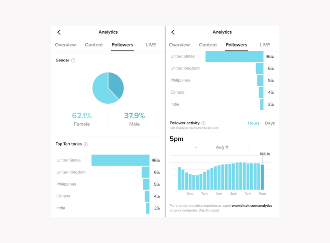 Screenshots showing TikTok Analytics, a great marketing tool to reach more people on TikTok.