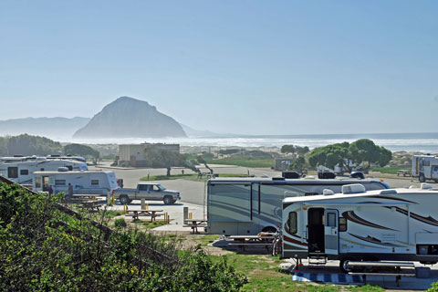 Morro Strand State Beach Camping: Ultimate Guide to Coastal Adventure