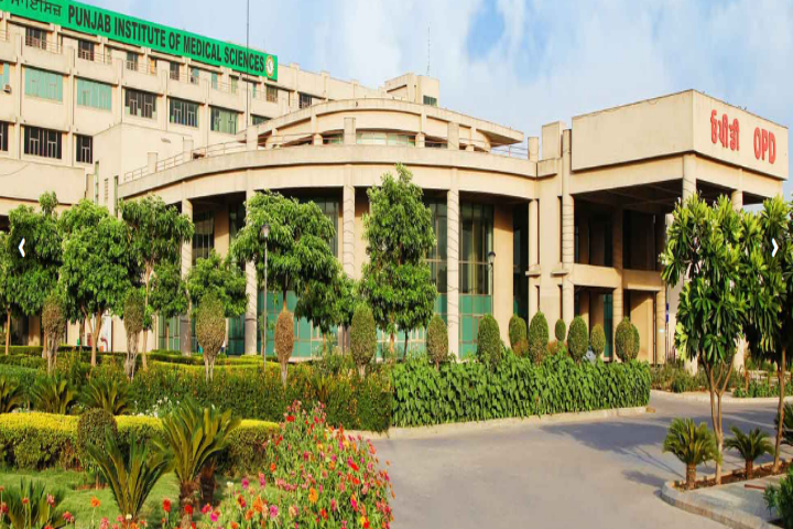 Punjab Institute of Medical Sciences