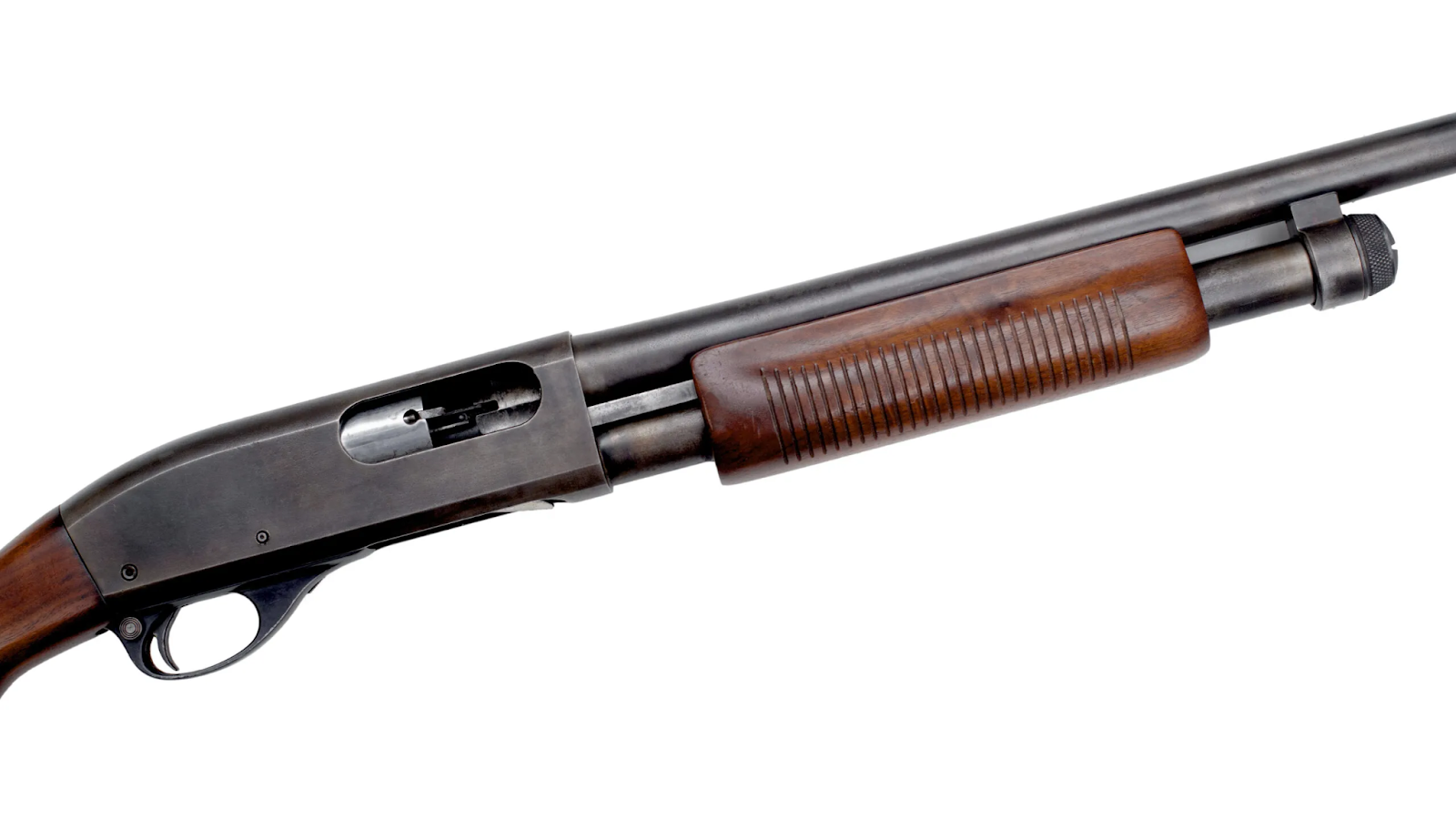 Different Types of Shotguns You Should Know - ProArmory